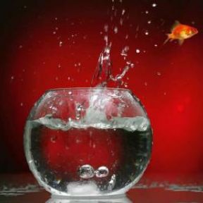 cekib | Migrantinnen und Migranten im Gesundheitswesen